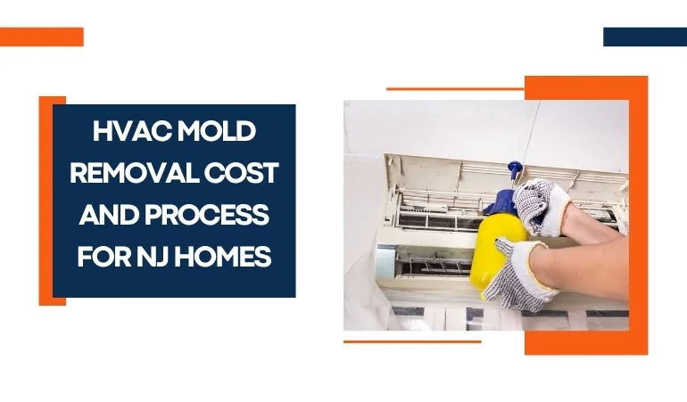 HVAC Mold Removal Cost and Process for NJ Homes